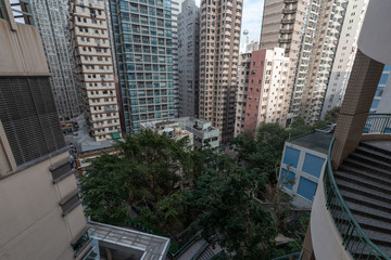 Obraz na płótnie Canvas Dense building with tree in between highrise in Sai Ying Pun