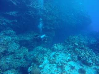 Diving in the acantilado