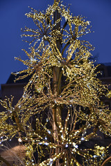Arbre de Noël lumineux