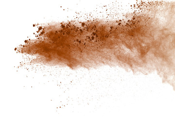 Fototapeta na wymiar Brown powder explosion on white background. Paint Holi.