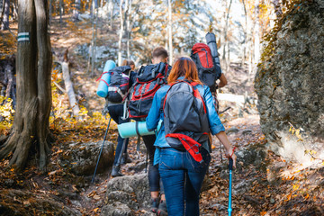 Group of hikers walking through the mountain trail, trekking together