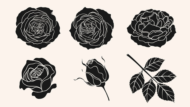 Rose silhouette ornament vector by hand drawing.Beautiful flower on brown background.Sunset memory rose vector art highly detailed in line art style.Flower tattoo for paint or pattern.