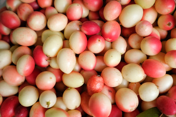 Carissa carandas or karanda fruit