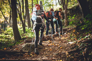 Group of friends with backpacks trekking together and climbing in forest - obrazy, fototapety, plakaty