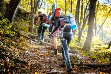 Group of friends with backpacks trekking together and climbing in forest - obrazy, fototapety, plakaty