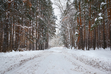 The road in the winter snow-covered forest. Winter landscape.