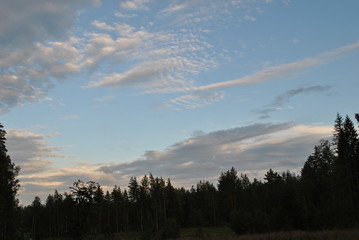 nature finland
