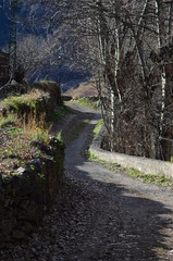 camino de tierra con muro de piedras en sus costados