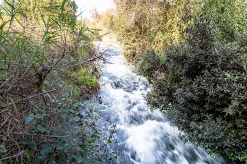 Water flow in Dan Nature Reserve in Israel