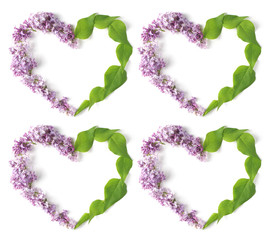 creative composition - four hearts produced from freshly cut lilac flowers on a white background in the shape of a square, flat lay, top view