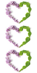creative composition - three hearts laid out of fresh cut lilac flowers on a white background, flat lay, top view, vertical