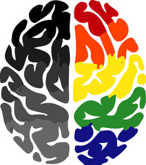 Brain illustrations