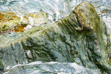 Water surface with mosses