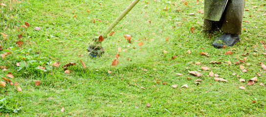 the human use the lawn mower in  the garden