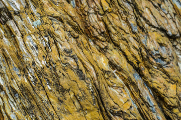 Grey black background