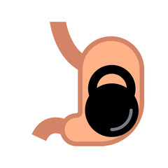 stomach visual aid