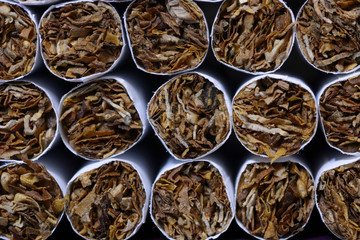 Close-up of a heap of tobacco cigarettes, front view