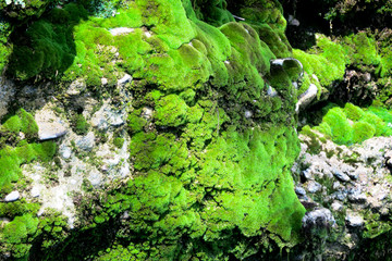 Natural waterfalls - Antalya