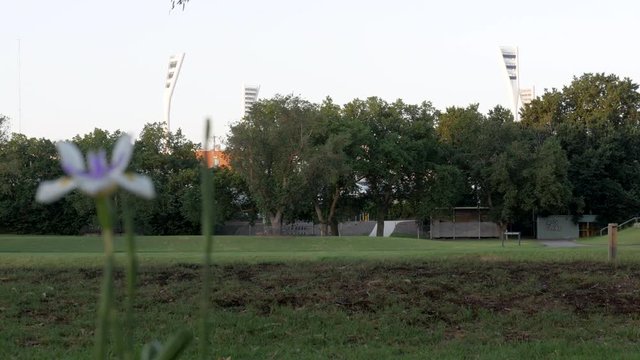 Australian sports stadium light towers. FOCUS PULL with a purple flower in the foreground and a river during sunset.