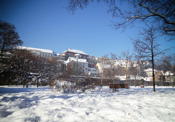 Great snow in the park, winter idyll, background, texture.