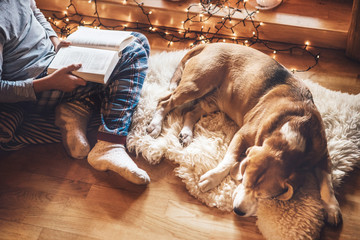 Boy reading book on the floor near slipping his beagle dog on sheepskin in cozy home atmosphere....