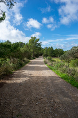 Path to the viewpoint of the island of Es Vedra