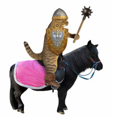 The cat knight in a helmet holds a spiked mace and a shield with the coat of arms on a black war horse. White background.