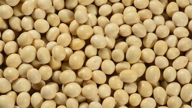 Soja amarilla cruda 