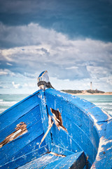 Old boat arrives with immigrants from Africa to the beach of Los Caños de Meca, Cadiz province,...