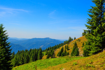 Nature in the mountains, beautiful scenery, beautiful mountain landscapes in summer, Carpathians.