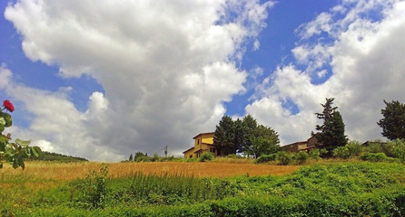 bella immagine rurale in una giornata nuvolosa