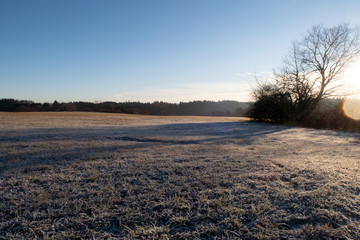 Sonntagmorgen
