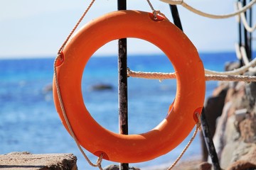 life buoy on the beach