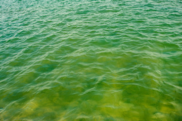 sea waves - green color water