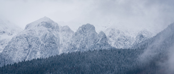 mountains in winter