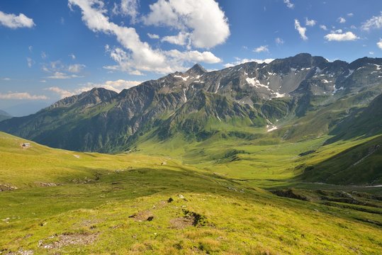 Jamnigalm - mountain meadow above Mallnitz, Mallnitz, High Tauern, Austria, 1 July 2018 