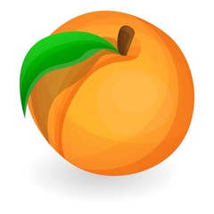 Eco peach icon. Cartoon of eco peach vector icon for web design isolated on white background