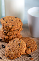 Rye cookies with chocolate