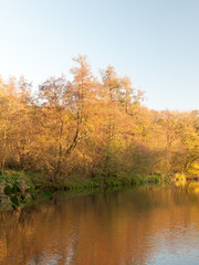 Beautiful golden red yellow autumn lake pond scene nature landscape trees