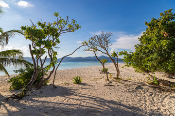 View of tropical beach on the Ditaytayan island, Busuanga, Palawan, Philippines. Beautiful tropical island with sand beach, palm trees. Travel concept.