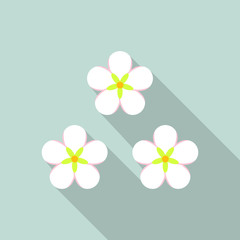 Honey flower icon. Flat illustration of honey flower vector icon for web design