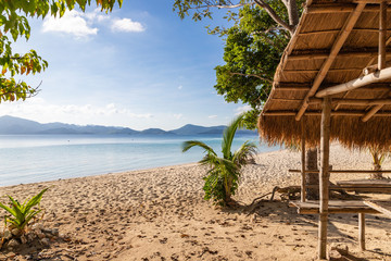 View of tropical beach on the Ditaytayan island, Busuanga, Palawan, Philippines. Beautiful tropical island with sand beach, palm trees. Travel concept.