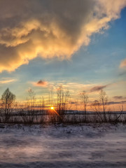 Winter landscape with field and trees during the sunset