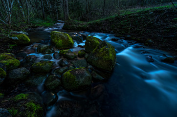 touched by the moonlight