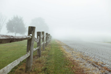 Fork in the Road