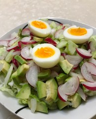 Green salad with avocado, onion, radish and egg