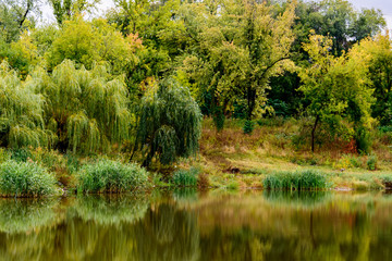 Fototapeta na wymiar autumn banks of the pond