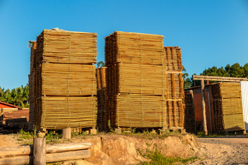 Several stacks of wooden slats under the blue sky sunset, Airue, Grão Pará, Santa Catarina