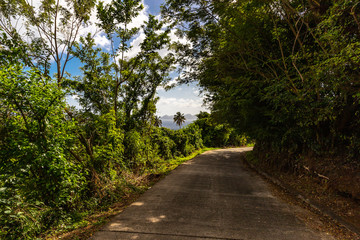 Fototapeta na wymiar Saint Vincent and the Grenadines, road, Bequia view