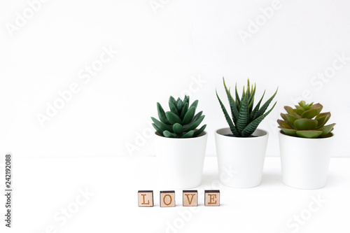 White background for card for women's or mother's day. White gift boxes and succulent. Love. Valentines day.